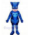 Heroe Boy with Blue Masks Mascot Costume Cartoon