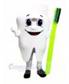 Healthy Tooth Mascot Costume Cartoon