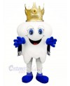 Happy Tooth Mascot Costume Cartoon