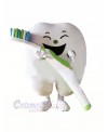 Smiling Tooth Mascot Costume Cartoon