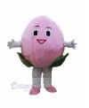 Cheap Peach Mascot Costume Cartoon