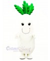 White Radish Vegetable Mascot Costume Cartoon