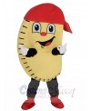 Empanada mascot costume