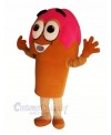 Funny Ice Cream Mascot Costume Cartoon