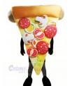 Top Quality Pizza Mascot Costume Cartoon