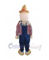 Man mascot costume