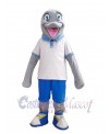 Dolphin mascot costume