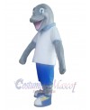 Dolphin mascot costume