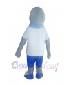 Dolphin mascot costume