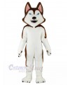 Dog mascot costume