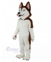 Dog mascot costume