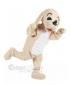 Dog mascot costume
