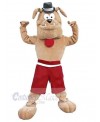 Dog mascot costume