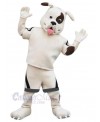 Dog mascot costume