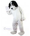 Dog mascot costume