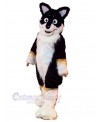 Dog mascot costume