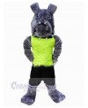 Dog mascot costume