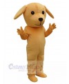 Dog mascot costume