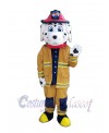 Dog mascot costume