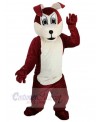 Dog mascot costume