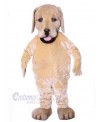 Dog mascot costume