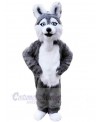 Dog mascot costume