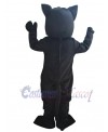 Cat mascot costume