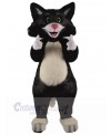 Cat mascot costume