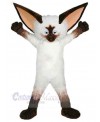 Cat mascot costume