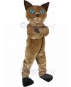 Cat mascot costume