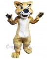 Cat mascot costume