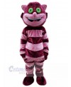 Cat mascot costume