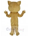 Cat mascot costume