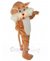 Cat mascot costume