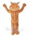 Cat mascot costume