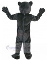 Cat mascot costume