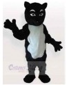 Cat mascot costume