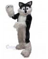 Wolf mascot costume