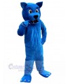 Wolf mascot costume