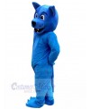 Wolf mascot costume