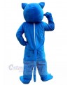Wolf mascot costume