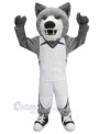 Wolf mascot costume