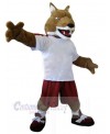 Wolf mascot costume