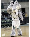 Wolf mascot costume