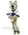 Wolf mascot costume