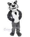 Wolf mascot costume