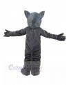 Wolf mascot costume