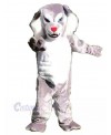 Wolf mascot costume