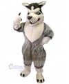 Wolf mascot costume
