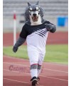 Wolf mascot costume